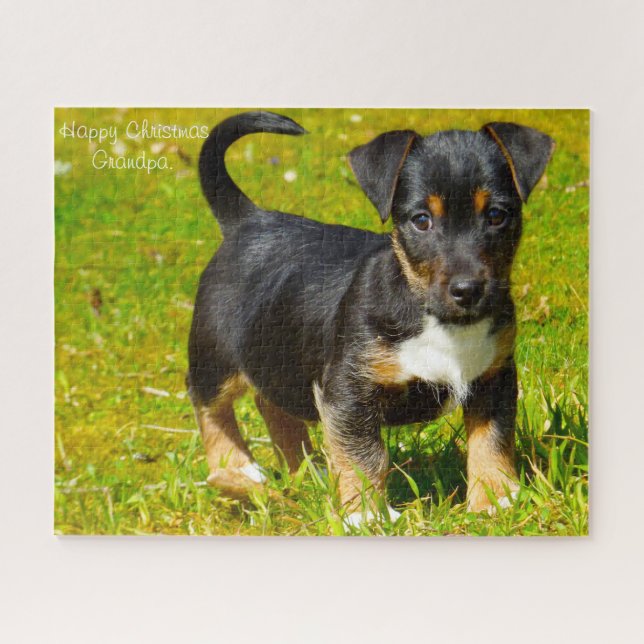 Jack Russell Dog. Jigsaw Puzzle (Horizontal)