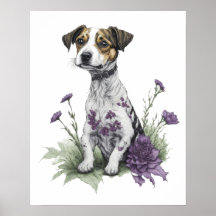 Jack Russell Dog