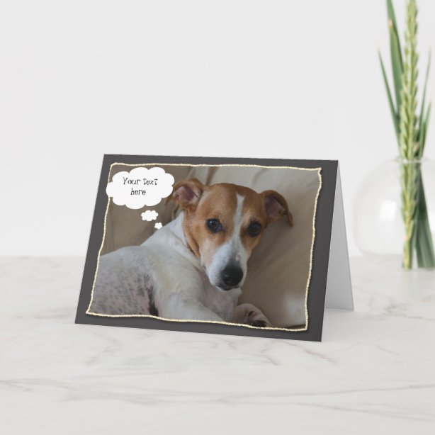 Jack Russell Gifts & Gift Ideas Zazzle UK