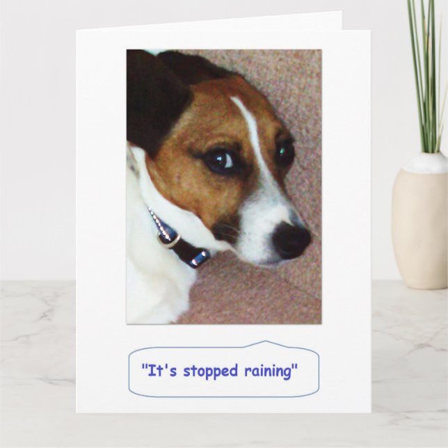 Jack Russell Greetings Card - Montys Bored (Front)