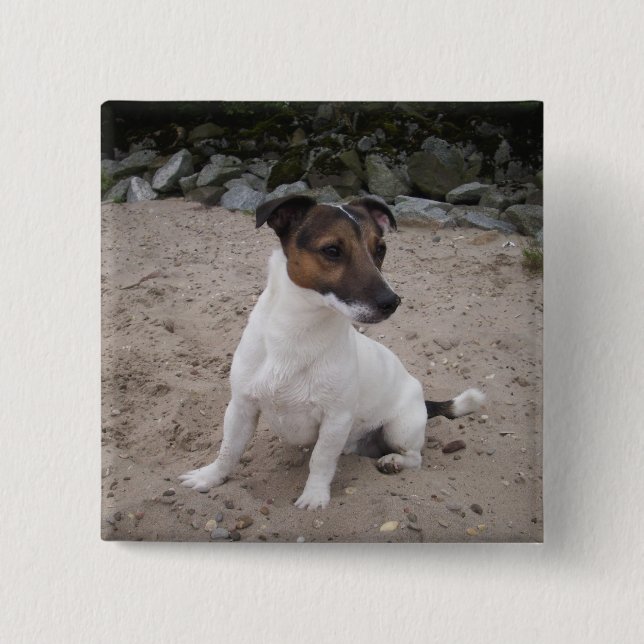 Jack Russell klein Hund 15 Cm Square Badge (Front)