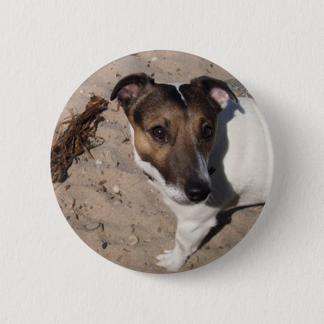 Jack Russell klein Hund 6 Cm Round Badge (Front)