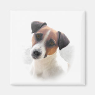 Jack Russell Magnet