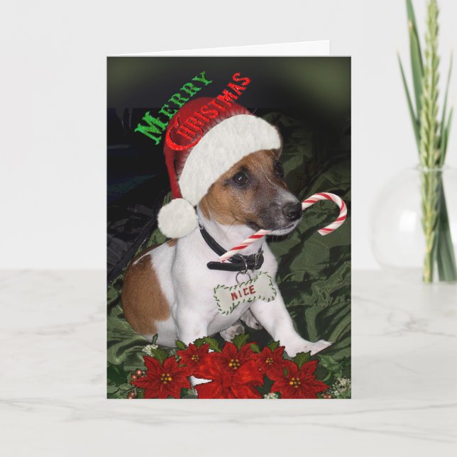 Jack Russell Naughty or Nice Cards (Front)