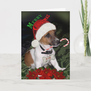 Jack Russell Naughty or Nice Cards