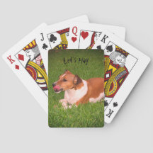 Jack Russell playing cards