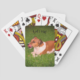 Jack Russell playing cards