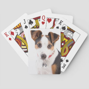 Jack Russell Playing Cards