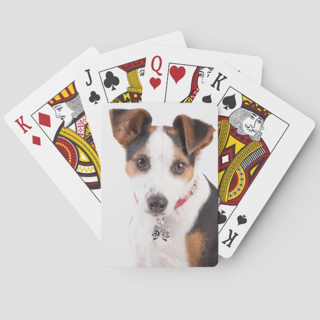 Jack Russell Playing Cards (Back)