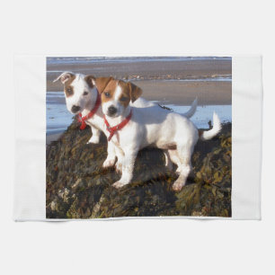 Jack Russell Puppies Tea Towel
