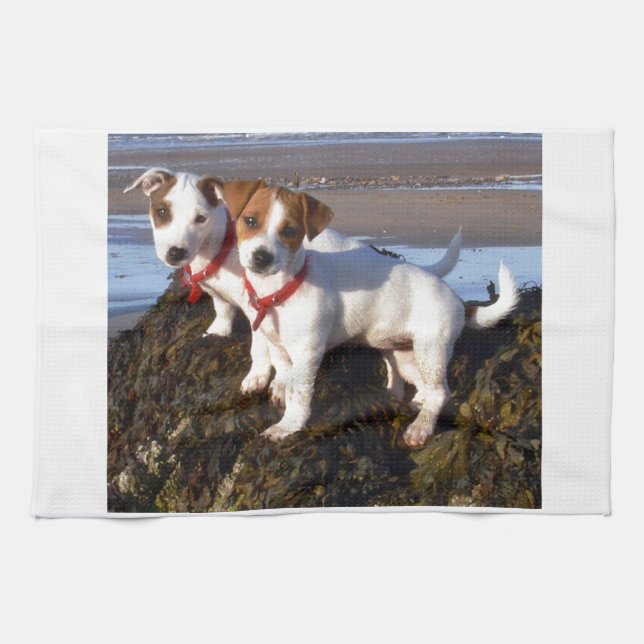 Jack Russell Puppies Tea Towel (Horizontal)