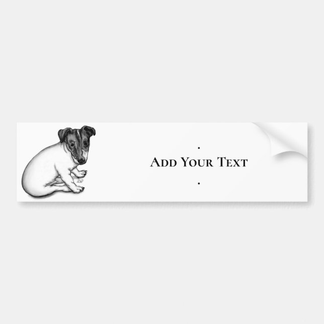Jack Russell puppy 10 weeks old Bumper Sticker (Front)