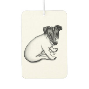 Jack Russell puppy 10 weeks old Car Air Freshener