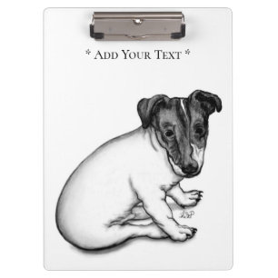 Jack Russell Puppy 10 weeks old Clipboard