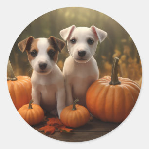 Jack Russell Puppy Autumn Delight Pumpkin  Classic Round Sticker