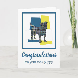 Jack Russell Puppy Congratulations Greeting Card