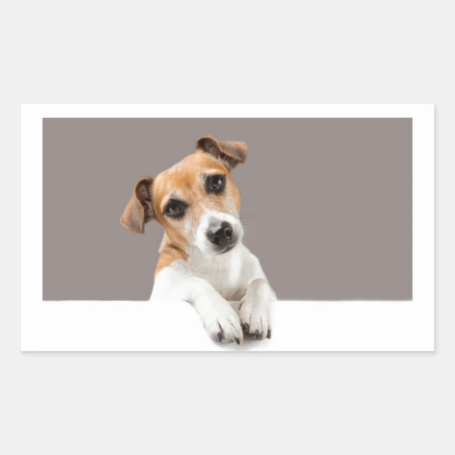 Jack Russell Puppy Dog Cute Adorable Sweet Rectangular Sticker (Front)