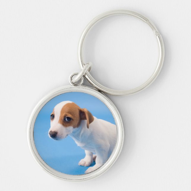 Jack Russell Puppy Key Ring (Front)