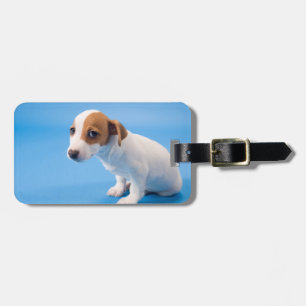 Jack Russell Puppy Luggage Tag