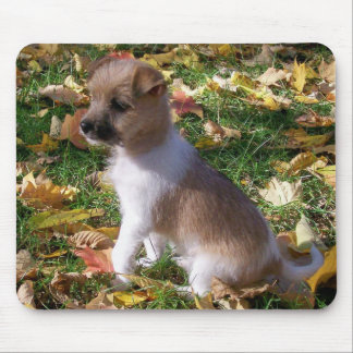 Jack Russell Puppy Mouse Mat