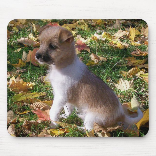 Jack Russell Puppy Mouse Mat (Front)