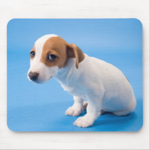 Jack Russell Puppy Mouse Mat