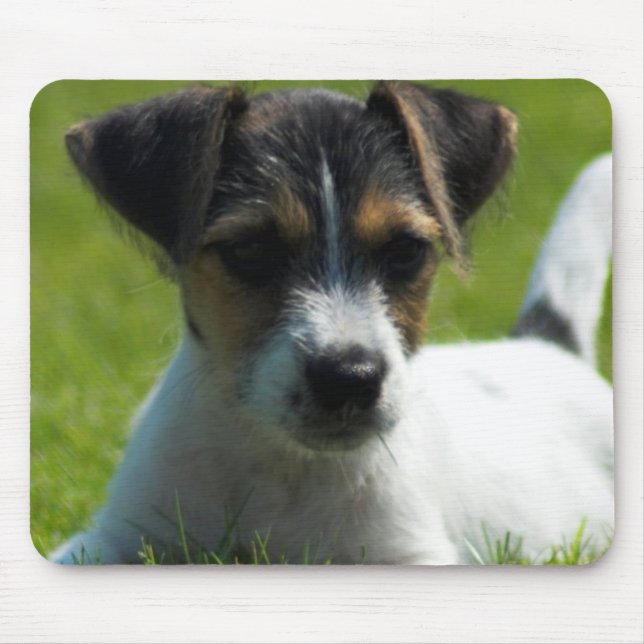 Jack Russell Puppy Mouse Pad (Front)