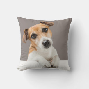 Jack Russell Puppy Sweet Adorable Baby Jack Cushion