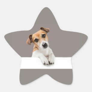 Jack Russell Puppy Sweet Adorable Baby Star Sticker