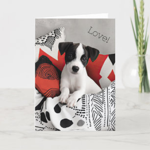 Jack Russell Puppy Valentine Card