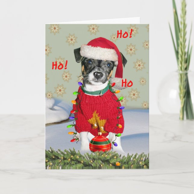 Jack Russell Rat Terrier Mix Merry Christmas Holiday Card (Front)