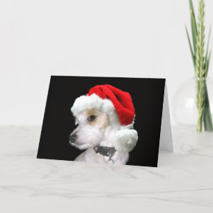 Jack Russell Santa Holiday Card