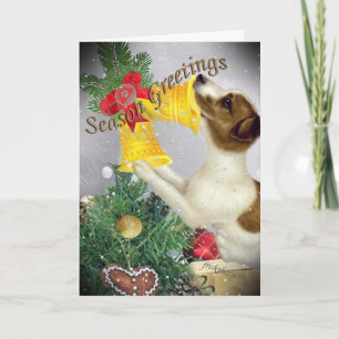 Jack Russell Season Greetings Holiday Card
