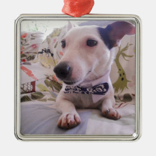 Jack Russell Terier Metal Tree Decoration