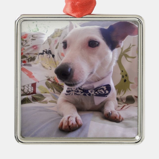 Jack Russell Terier Metal Tree Decoration (Front)