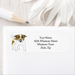 Jack Russell Terrier