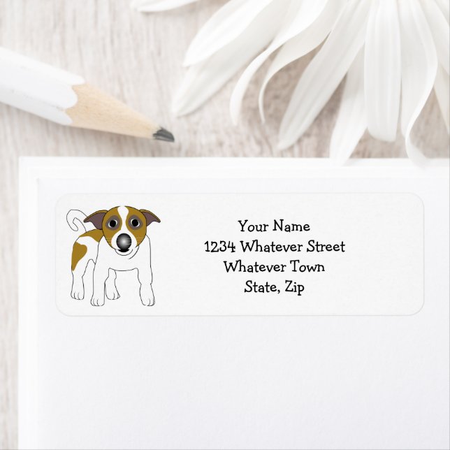 Jack Russell Terrier (Insitu)