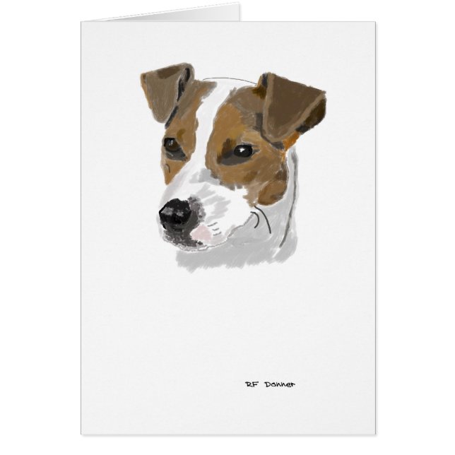 Jack Russell Terrier (Front)