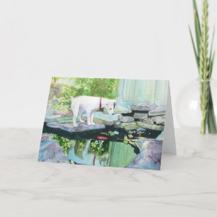 Jack Russell Terrier #1 Greeting Cards