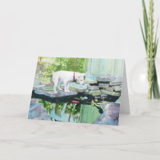 Jack Russell Terrier #1 Greeting Cards