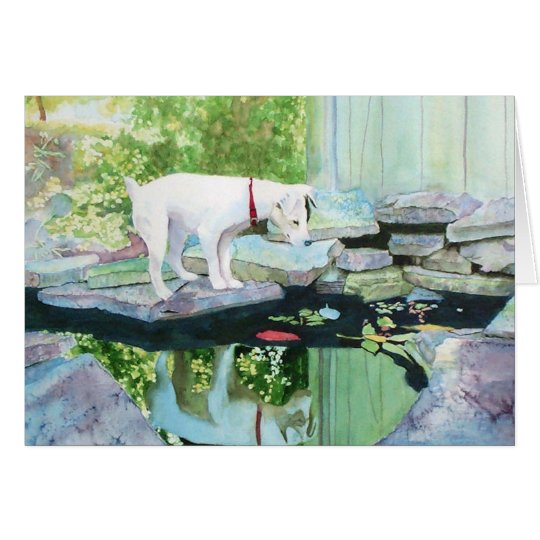 Jack Russell Terrier #1 Greeting Cards