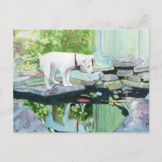 Jack Russell Terrier #1 Postcard