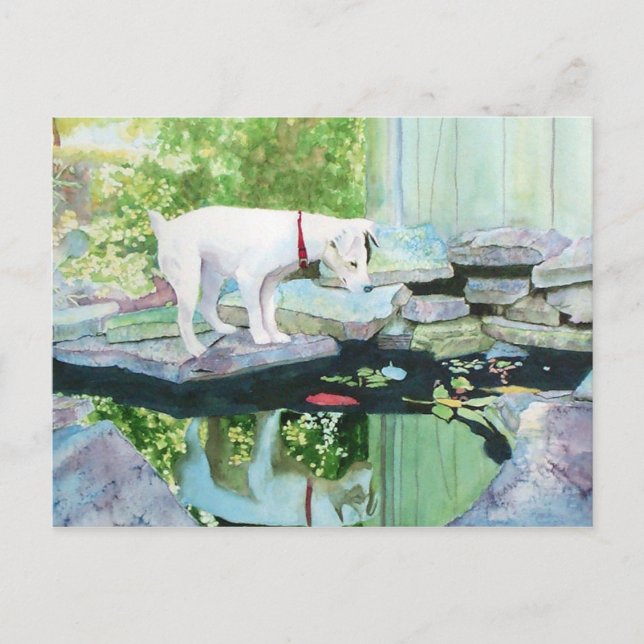 Jack Russell Terrier #1 Postcard (Front)