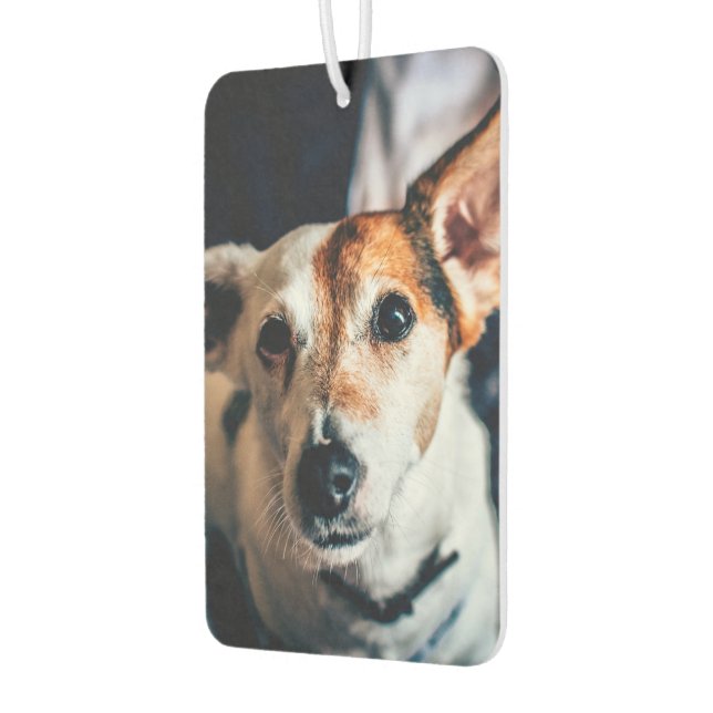 Jack Russell Terrier Air Freshener (Left)
