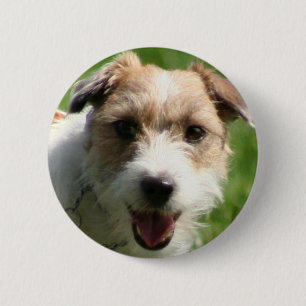 Jack Russell Terrier button