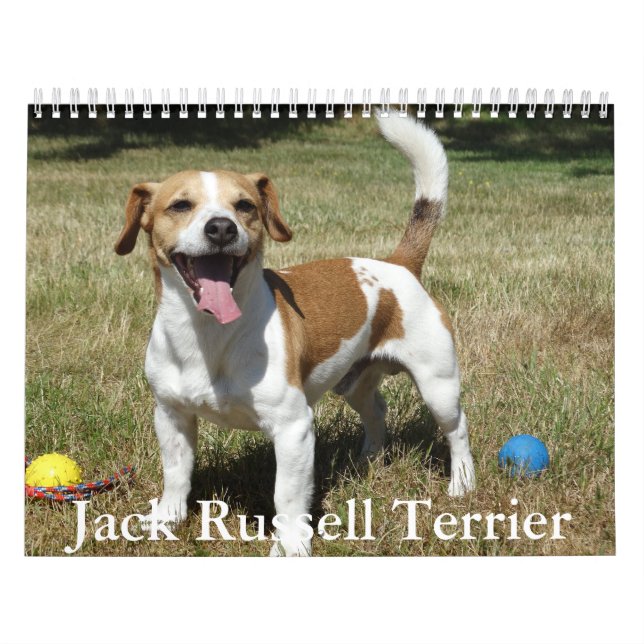 Jack Russell Terrier Calendar (Cover)