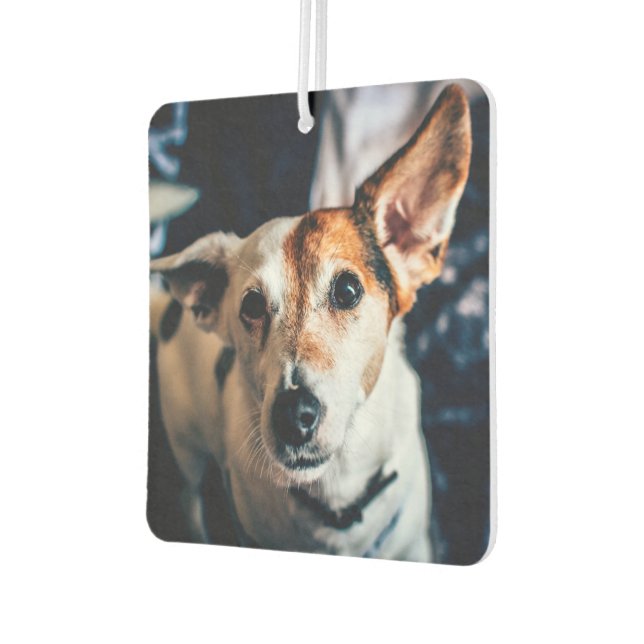 Jack Russell Terrier Car Air Freshener (Left)