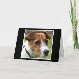 Jack Russell Terrier Card