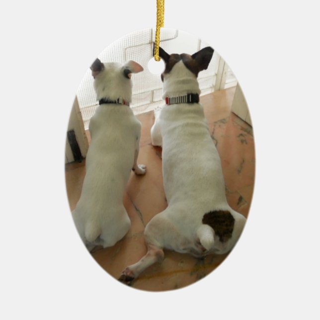 Jack Russell Terrier Ceramic Tree Decoration (Front)