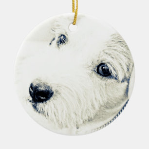 Jack Russell Terrier Ceramic Tree Decoration